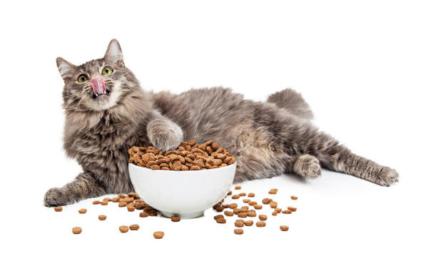 مستلزمات المنزل، الحيوانات الأليفة والاجهزة