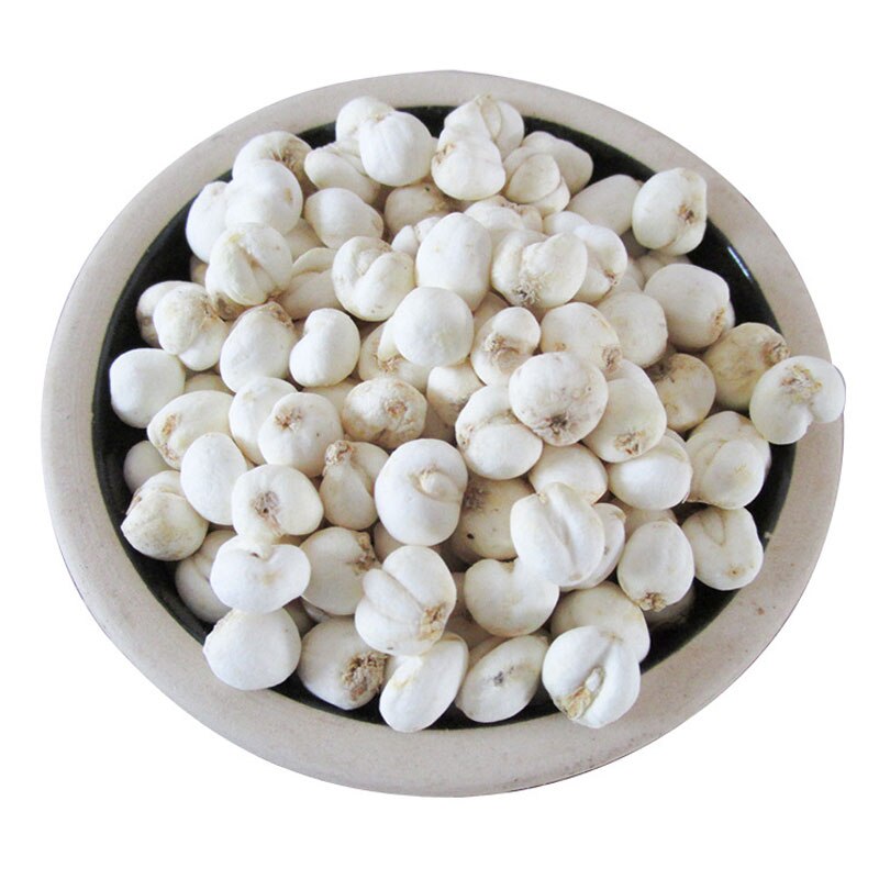 بولبوس فريتيلاريا سيرهوسي ، سيتشوان فريتيلي لمبة ، تشوانبي