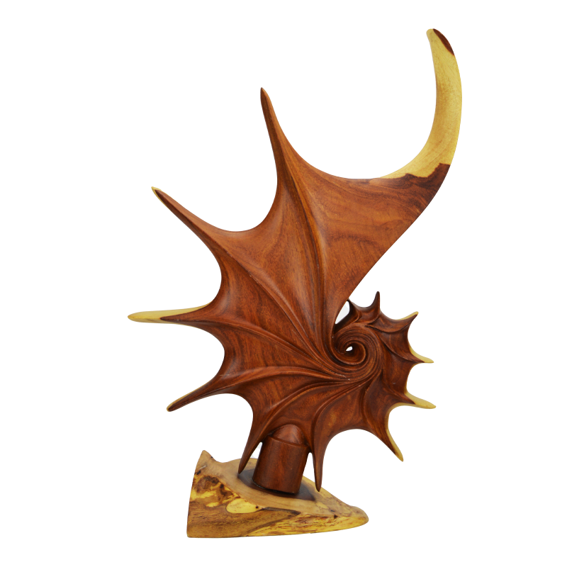 نجمة بحر خشبية