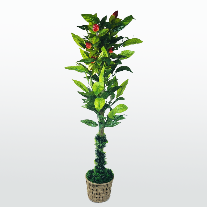 بوت صوله أشجار فاكهة فراولة